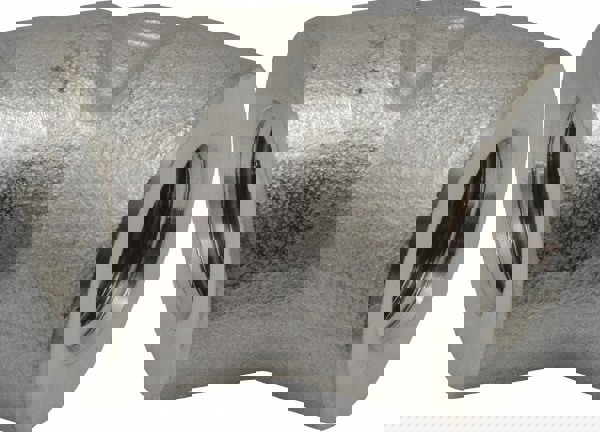 Pipe 45 &deg; Elbow: 1/2