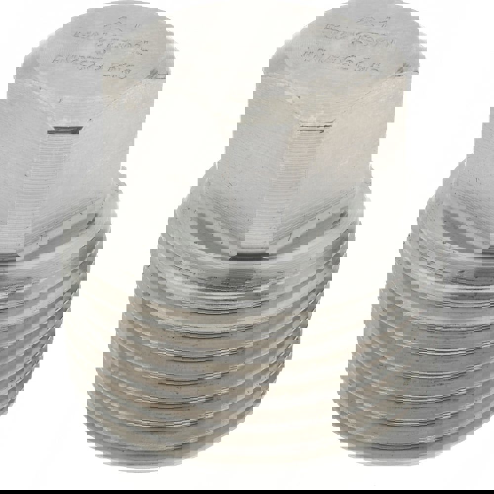 Pipe Square Head Plug: 1