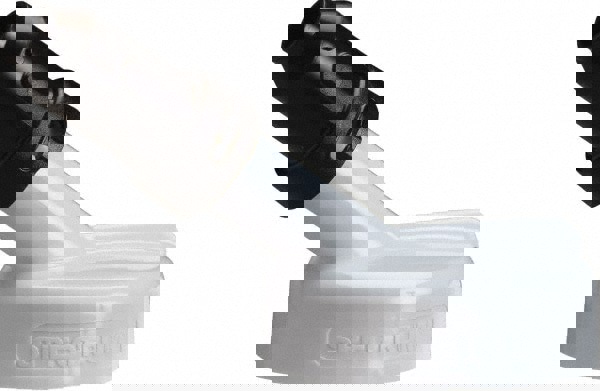 4 Gal Capacity Polyethylene Oil Storage