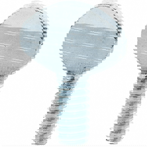 2 Steel Thumb Screw: 1/4-20, Oval Head