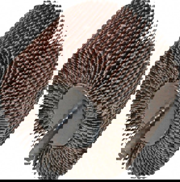 Mounted Flap Wheel: 3