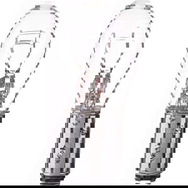 Incandescent Miniature & Specialty S8 Lamp