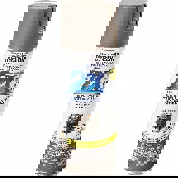 Enamel Spray Paint: London Gray, Satin, 12 oz