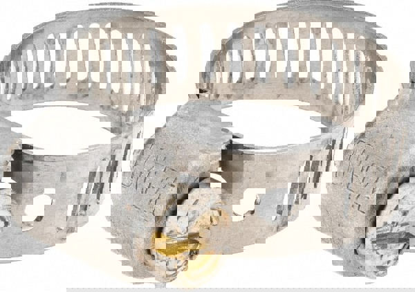 Worm Gear Clamp: SAE 6, 7/16 to 25/32