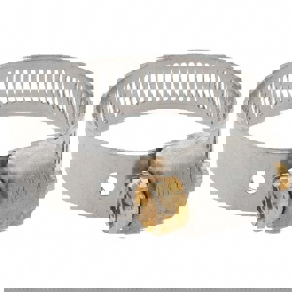 Worm Gear Clamp: SAE 12, 11/16 to 1-1/4