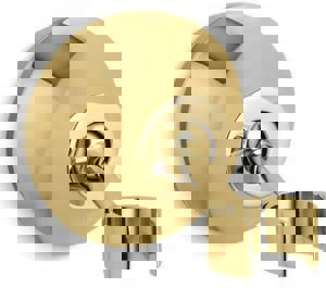 @ WM H/SHWR HLDR *FORTE PB