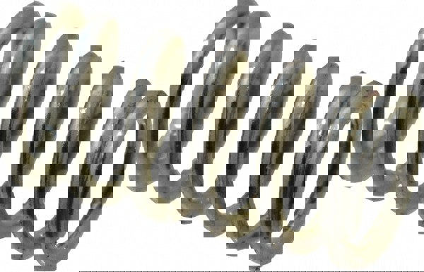 Precision Compression Spring: 0.12