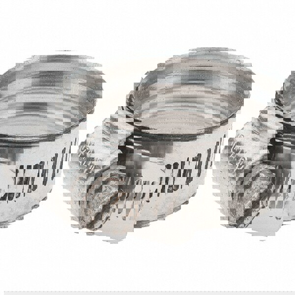 Worm Gear Clamp: SAE 20, Stainless Steel Band