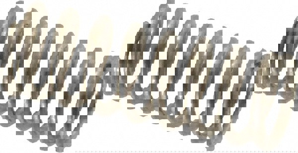 Precision Compression Spring: 0.3