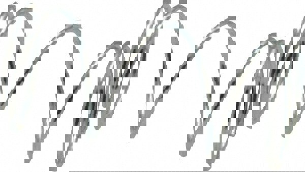 Precision Compression Spring: 0.36