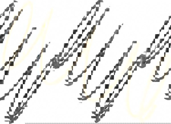 Precision Compression Spring: 0.36