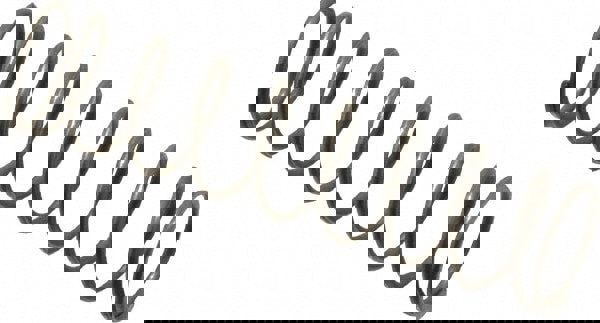 Precision Compression Spring: 0.36