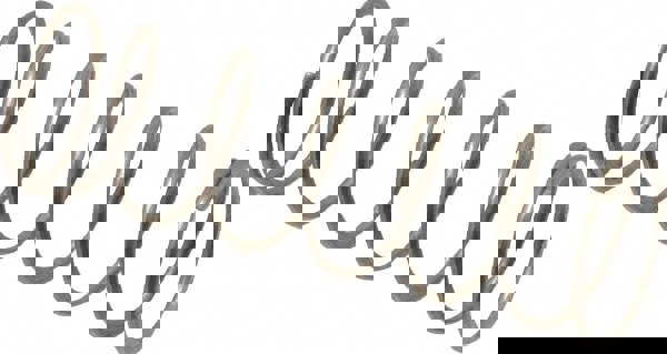 Precision Compression Spring: 0.48