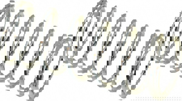 Precision Compression Spring: 0.6