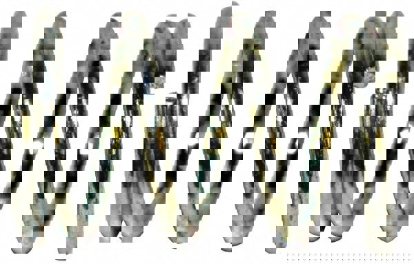 Utility Compression Spring: 1.2