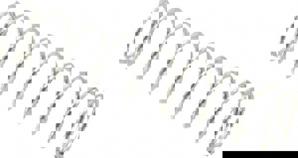 Precision Compression Spring: 0.24