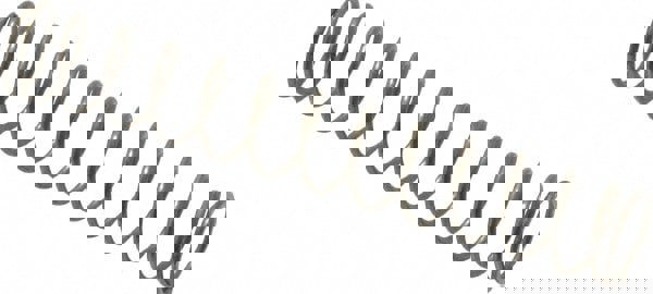 Precision Compression Spring: 0.24