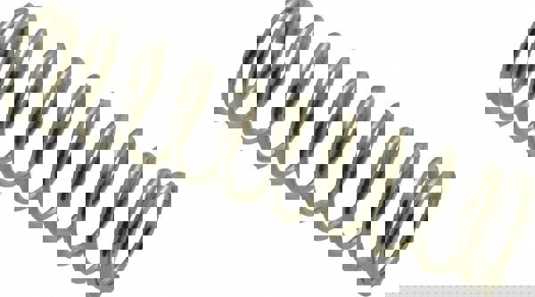 Precision Compression Spring: 0.3