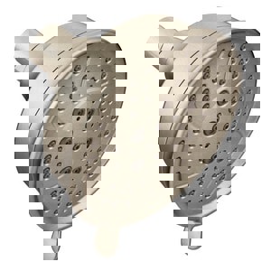 @ CCN 2.5 4F SHWRHD BN