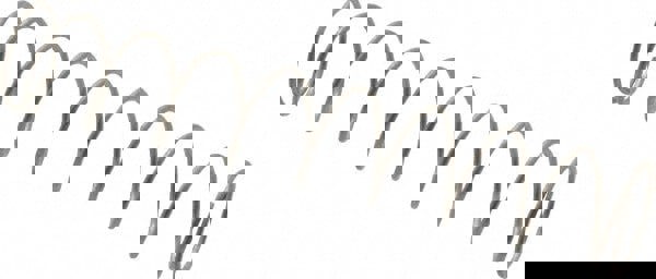 Precision Compression Spring: 0.36