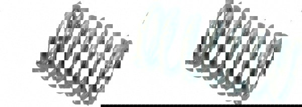 Precision Compression Spring: 0.48