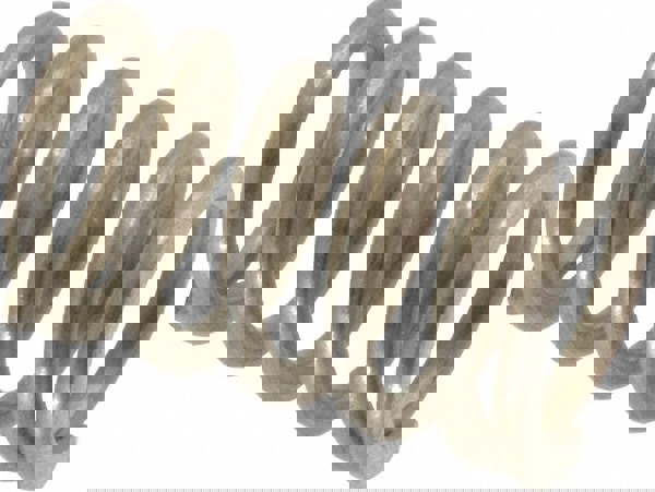 Precision Compression Spring: 0.6