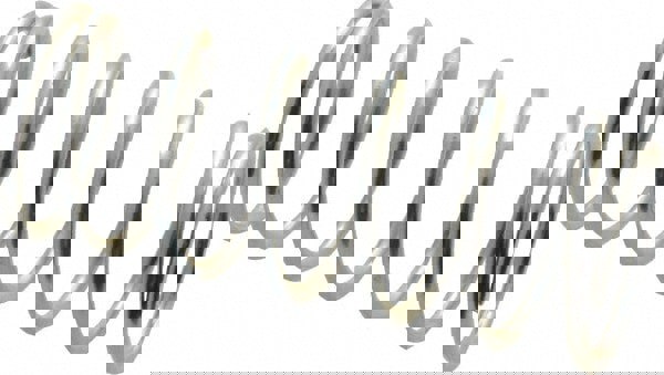 Precision Compression Spring: 0.845