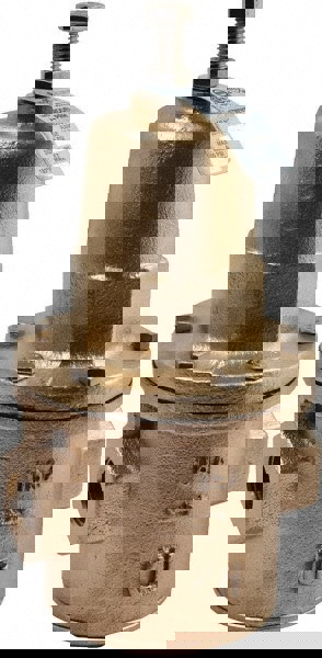 400 Max psi Direct Pressure Reducing Valve