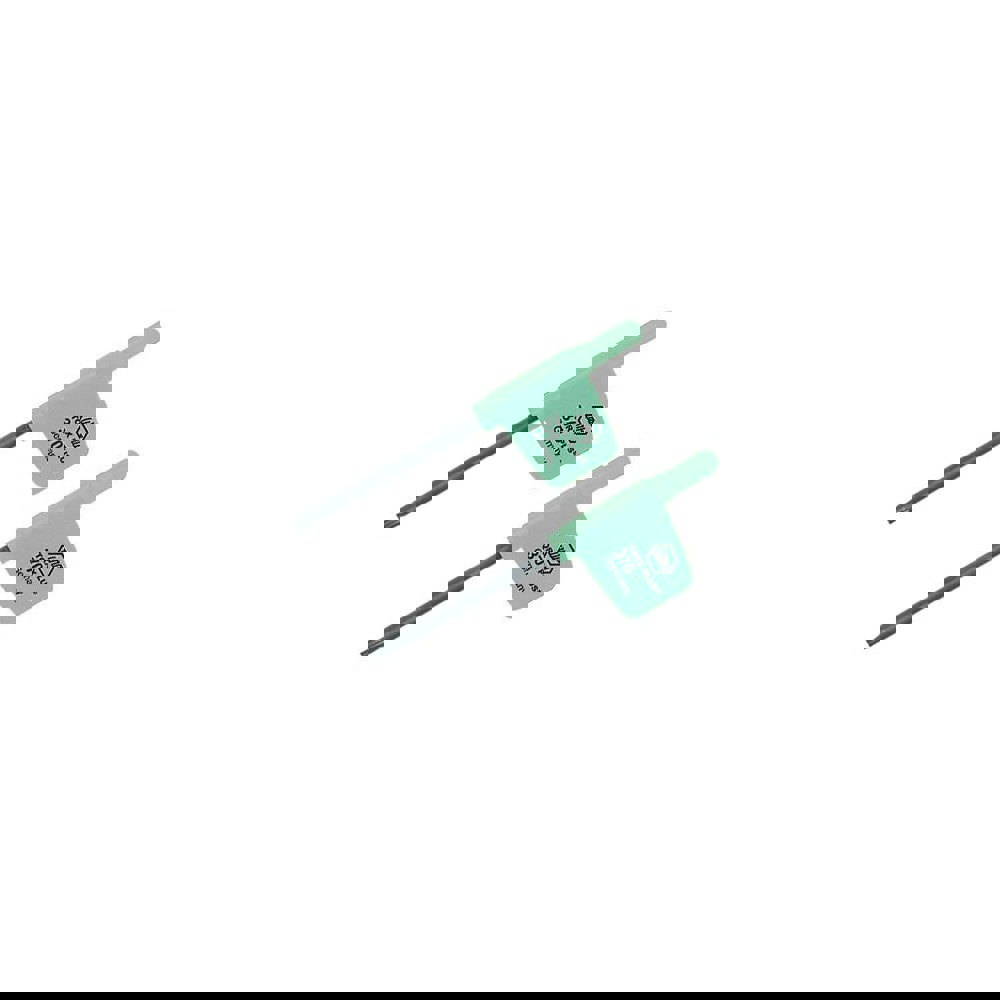 Torx Plus Key: Flag Handle, IP15, 3.1