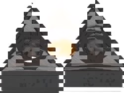 Turning Insert: TNMG431MN KCP10, Solid Carbide