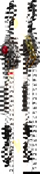 Manual Lever with Overload Protection Hoist: 5,500 lb Working Load Limit, 5' Max Lift