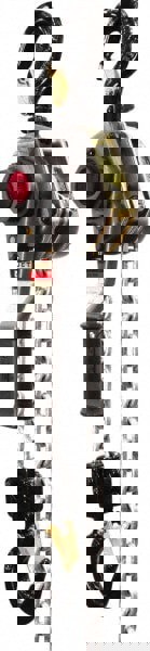 Manual Lever with Overload Protection Hoist: 5,500 lb Working Load Limit, 10' Max Lift