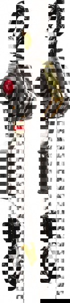 Manual Lever with Overload Protection Hoist: 5,500 lb Working Load Limit, 20' Max Lift