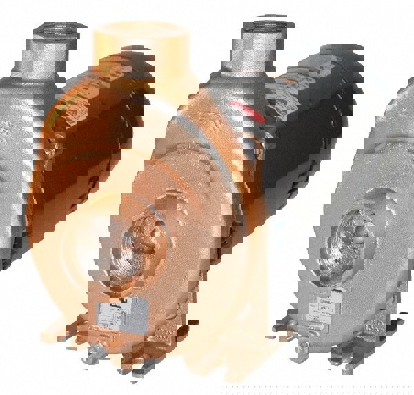 230 Volt, 28/14 Amp, 1 Phase, 2 HP, Self Priming Spa and Pool Pump