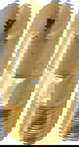 Brass Standard Fan Nozzle: 3/8