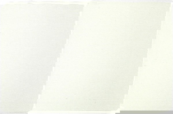 Heavy Weight Canvas Drop Cloth