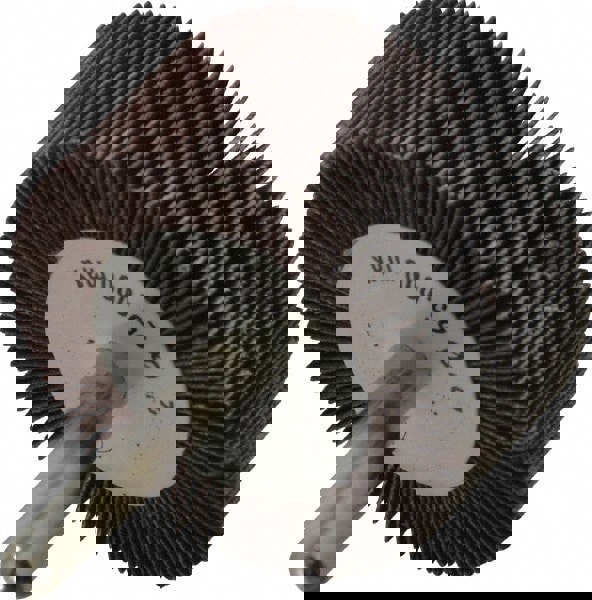 Mounted Flap Wheel: 1