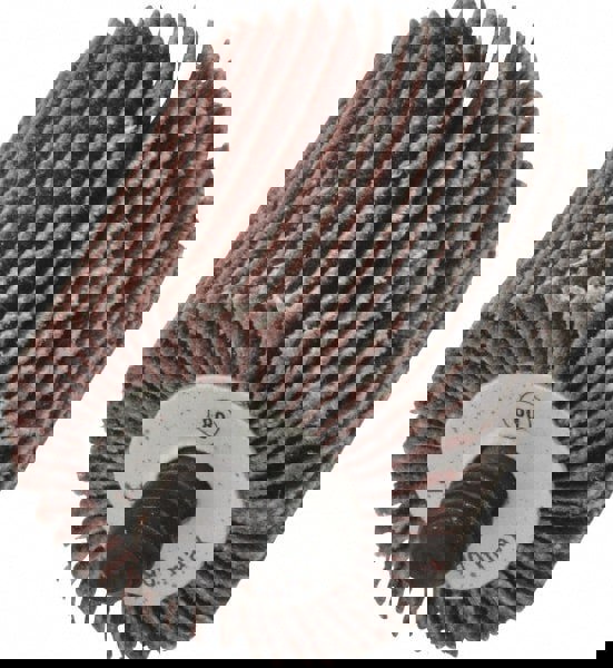 Mounted Flap Wheel: 1