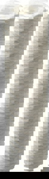 Plumbing Cartridge Filter: 2-1/2