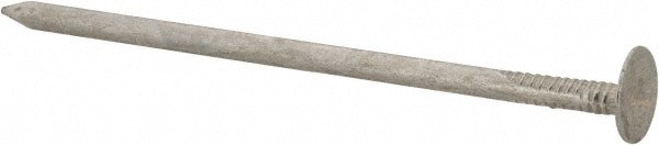 11 Gauge, 3