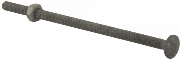 Carriage Bolt: 1/4-20, 5-1/2