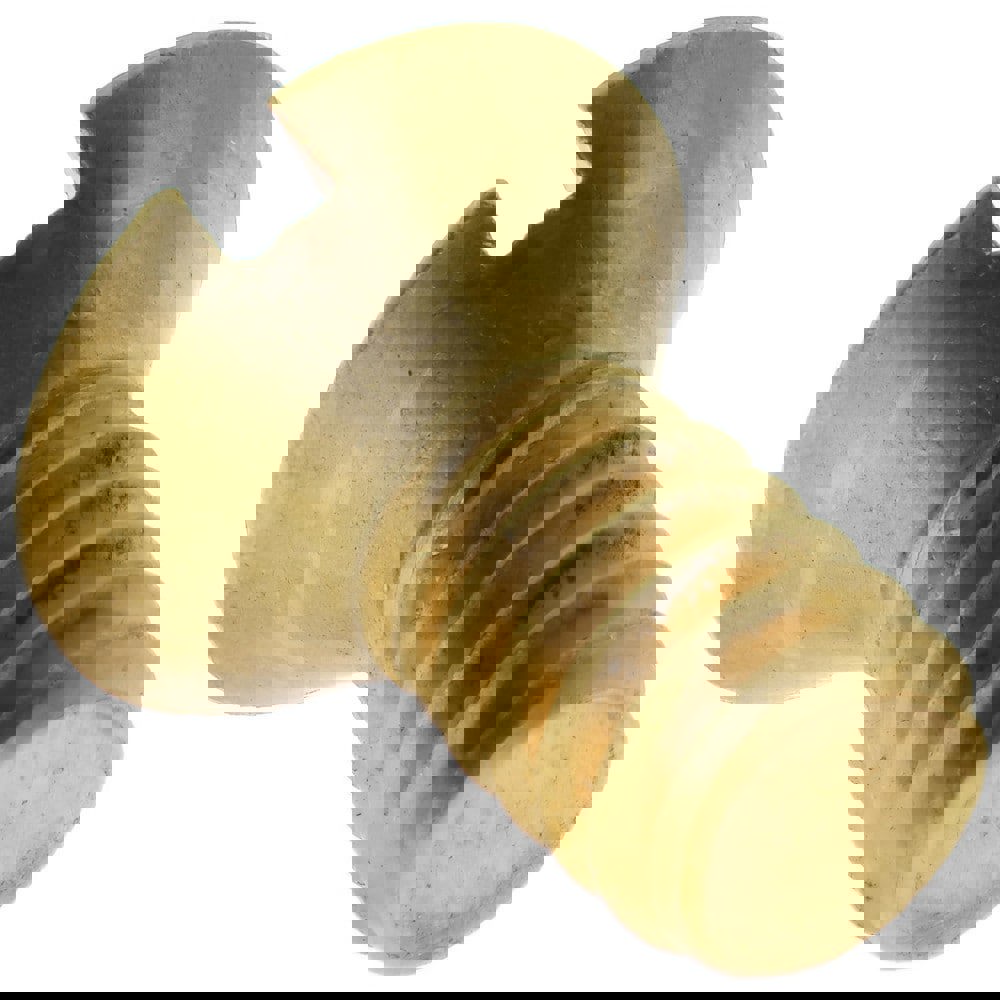 Machine Screw: 1/4-20 x 1/2