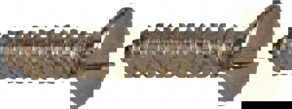 Sheet Metal Screw: #10, Oval Head, Slott