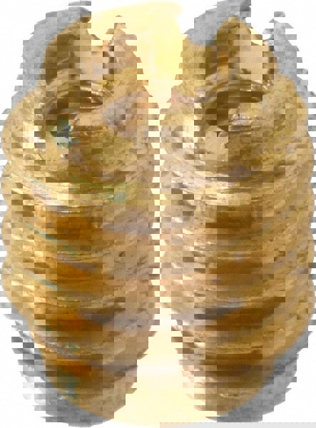 Threaded Insert Spec Dr Brass