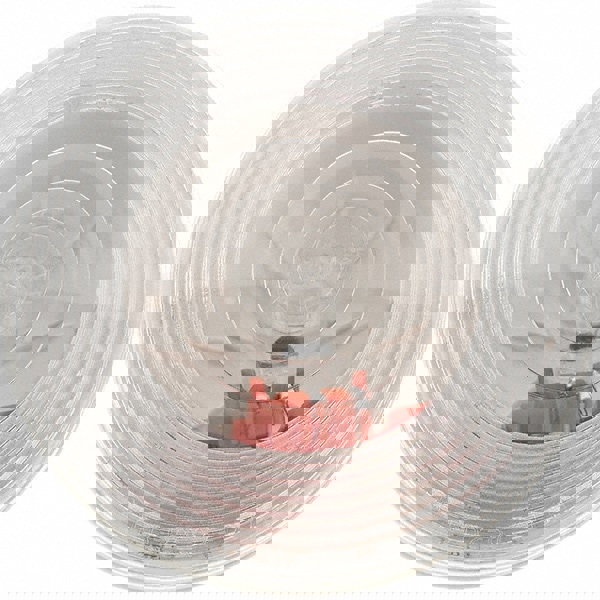 Clear Automotive Back-Up Light