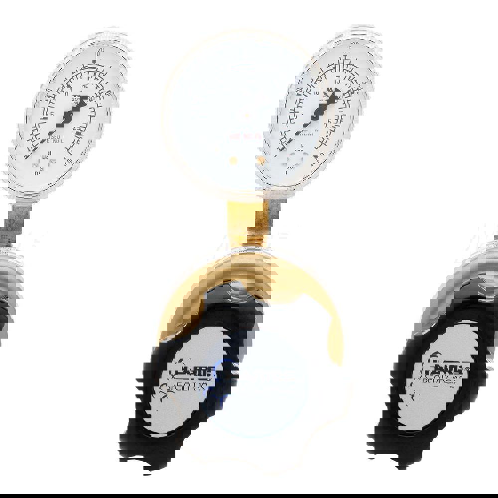 Model 403 General Purpose Brass Nitrogen, Argon, Carbon Dioxide Line Regulator 0-250 PSIG