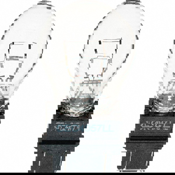 Incandescent Miniature & Specialty S8 Lamp