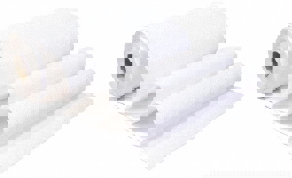 Paper Towels: Perforated Roll, 30 Rolls, 2 Ply, White