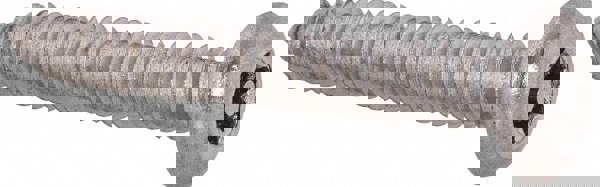 Sheet Metal Screw: #10, Button Head, Torx