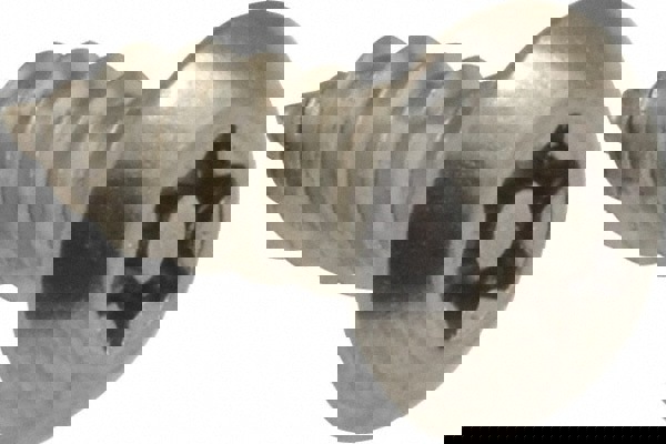 Sheet Metal Screw: #10, Button Head, Torx